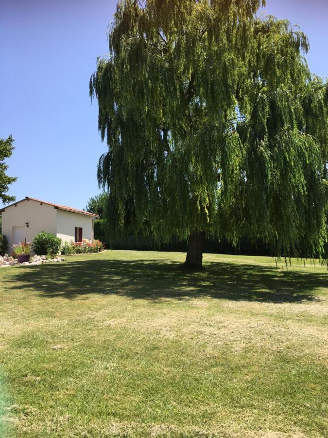 Bed and Breakfast Domaine De La Vigne Cadalen Exterior foto