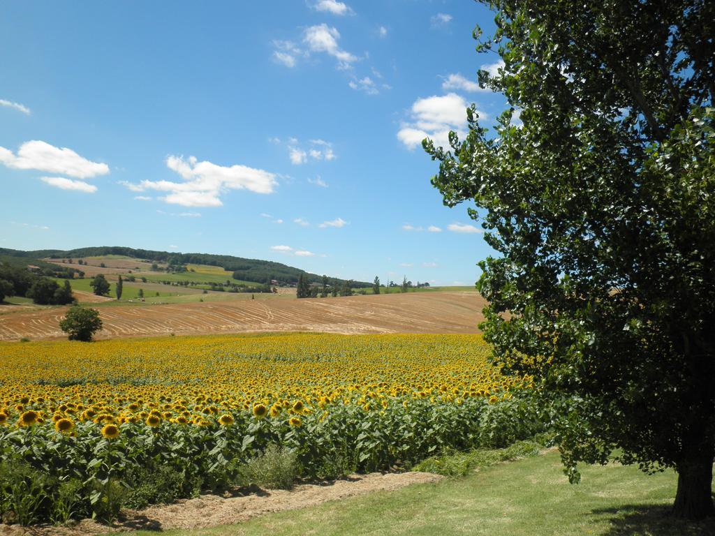 Bed and Breakfast Domaine De La Vigne Cadalen Exterior foto